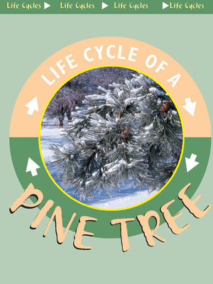 cover image of Pine Tree